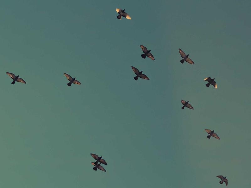 مہنگائی کا جن اور عام آدمی