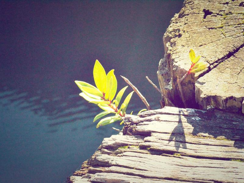 پاکستان میں 5 جی ٹیکنالوجی کی آمد