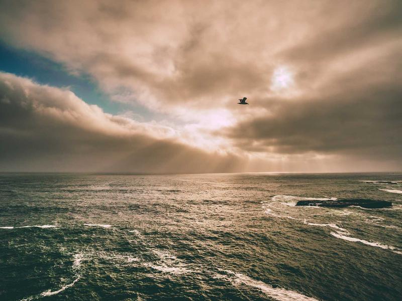 پاکستان کرکٹ ٹیم نے ٹی ٹوئنٹی سیریز جیت لی